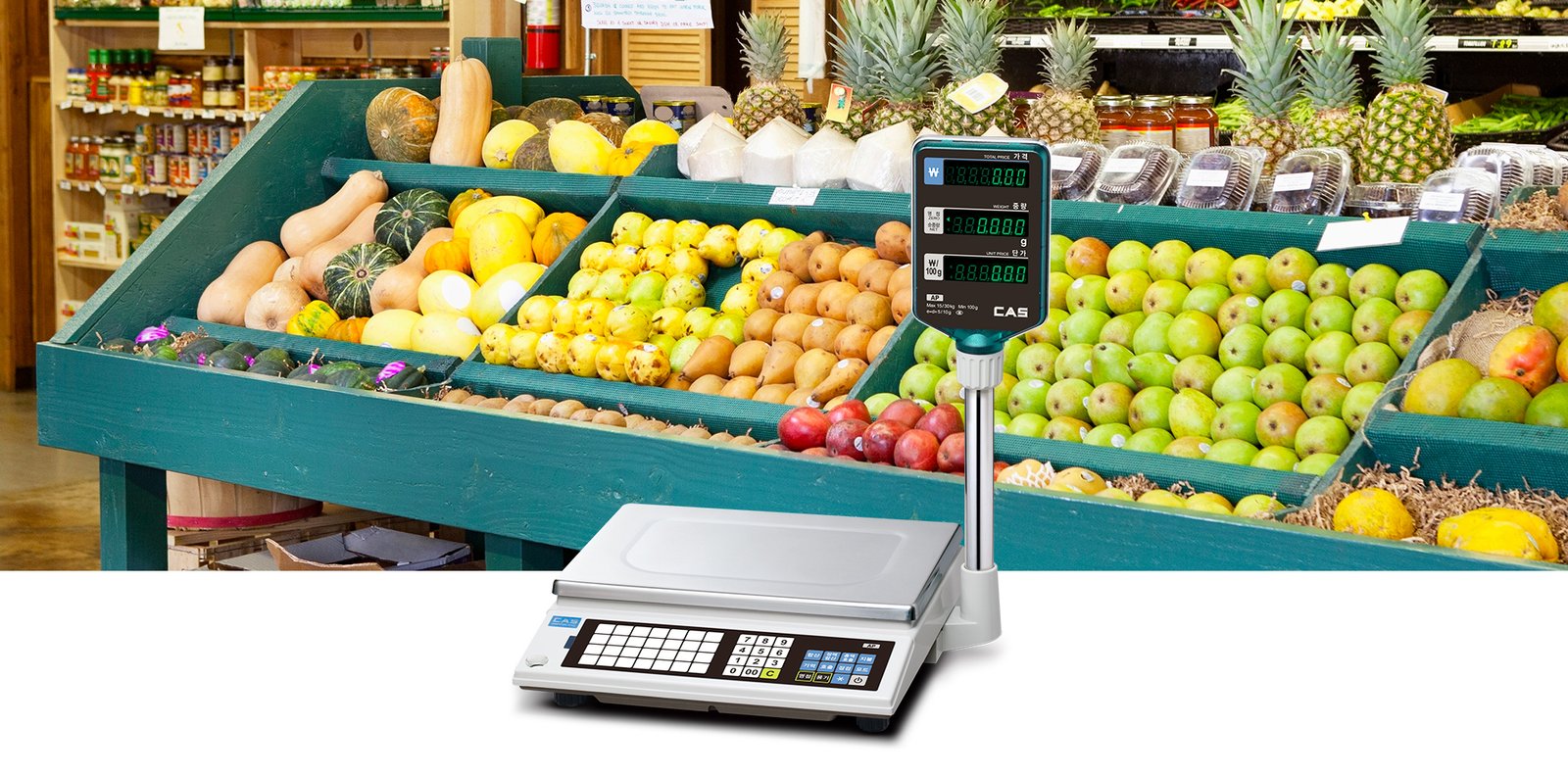 CAS AP1-6Kg-Price Computing Scale