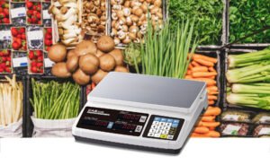 PR-6B | Price Computing Scale 2 1656324492297 513